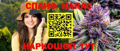 гашик Донской