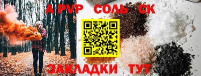 гашик Донской