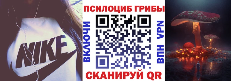 Псилоцибиновые грибы Psilocybe  Спасск-Дальний 